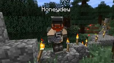 Skins Minecraft